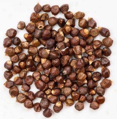 Buy Nagkesar Seeds Online | Benefits and Uses | Sri Herbal